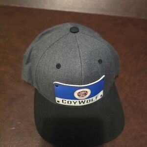 Coywolf Gray and Black Cap